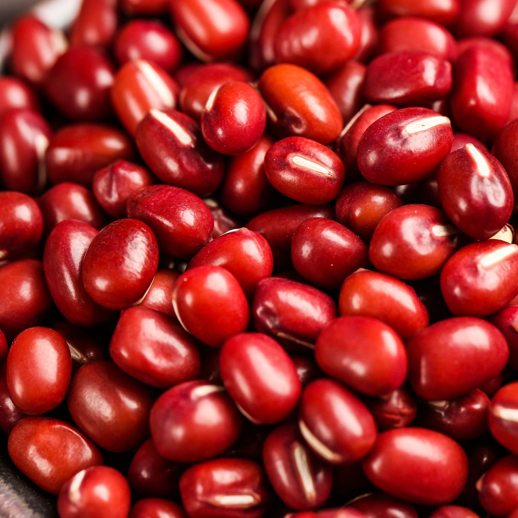 Adzuki Beans 红小豆